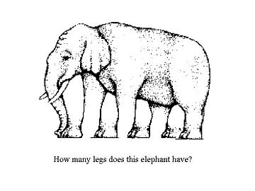 Las patas del elefante